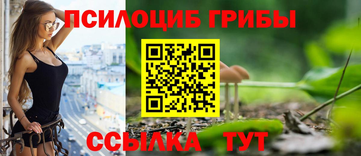 Барабинск  хочу   Вход с VPN  Псилоцибиновые грибы GOLDEN TEACHER 